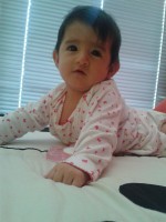 /album/fotogaleria/a62-jpg/